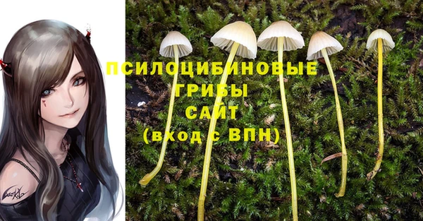 прущая мука Заволжск