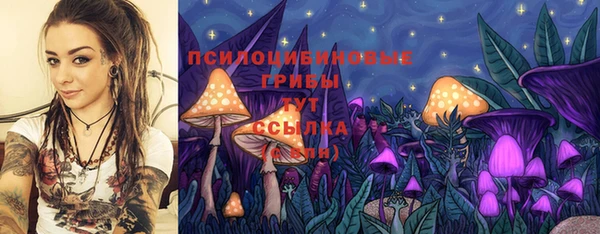 синтетический гашиш Заводоуковск
