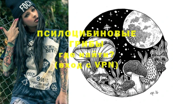 ГАЛЛЮЦИНОГЕННЫЕ ГРИБЫ Зерноград