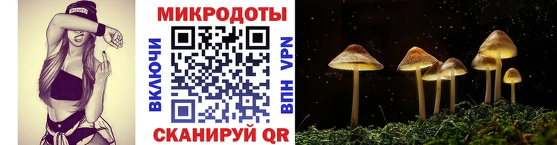Галлюциногенные грибы Psilocybe  где найти наркотики  Канск 
