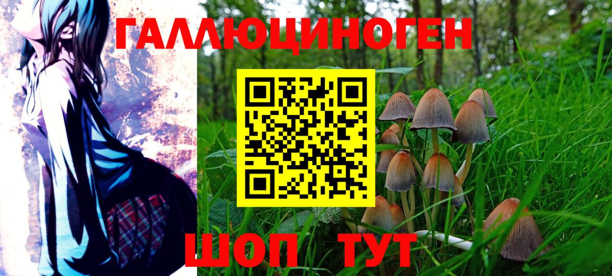 купить   Вход с VPN  Галлюциногенные грибы мухоморы  Канск  Псилоцибиновые грибы прущие грибы 