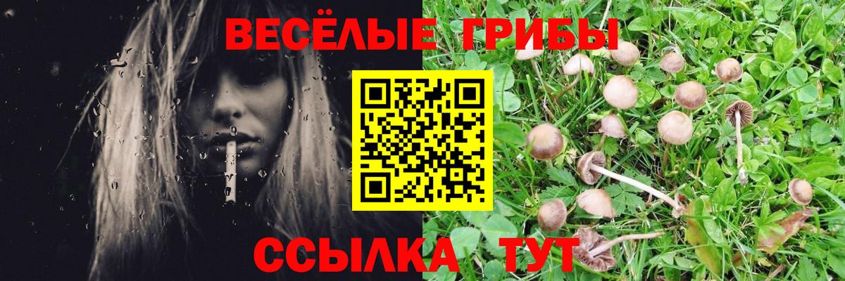 Псилоцибиновые грибы мицелий Канск